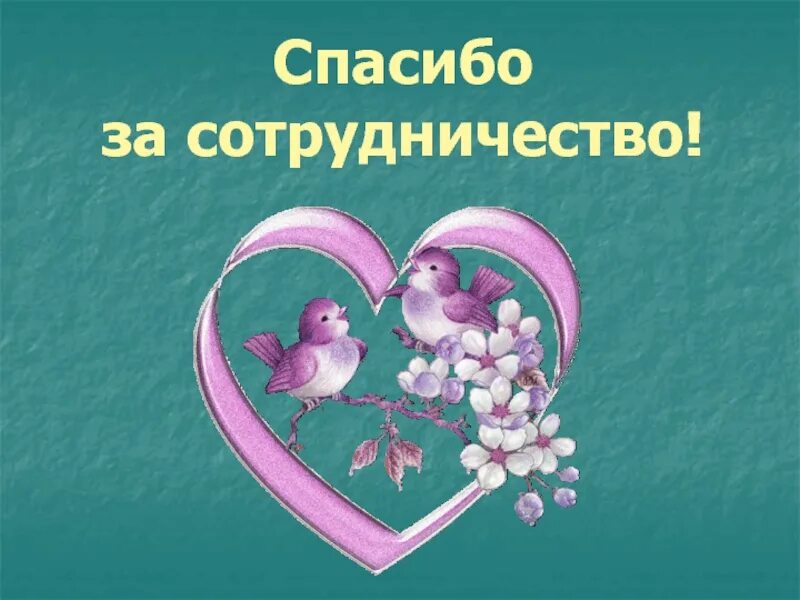 Надеюсь спасибо. Благодарим за сотрудничество. благодарю засотрудничесвто. открытка благодарим за сотрудничество. большое спасибо за сотрудничество.