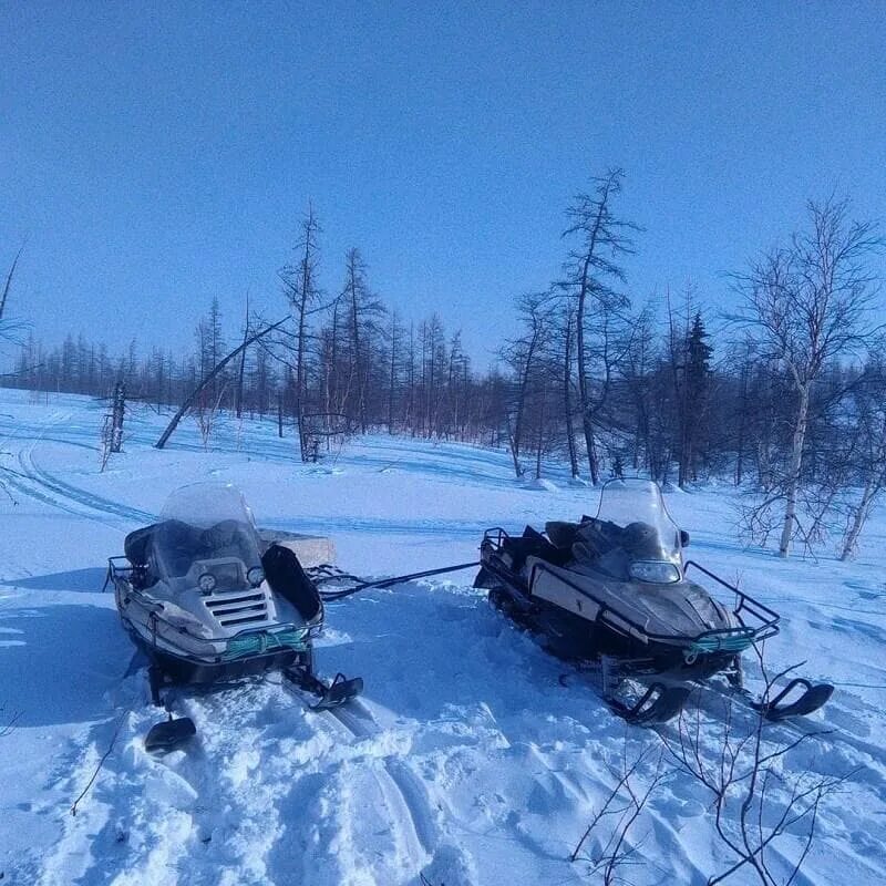 Снегоход Рысь 440 технические характеристики. Снегоход Рысь 500. Рысь 113. Двигатель Рысь 440. Скорость снегохода рысь