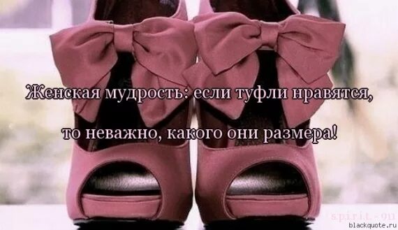 Цитаты про туфли. Цитаты про женские туфли. Смешные фразы про туфли. Высказывания про обувь. Двумстам пятидесяти рублям нет туфель