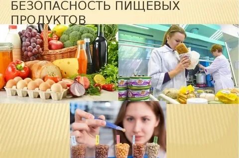 Пищевые продукты и пищевая система