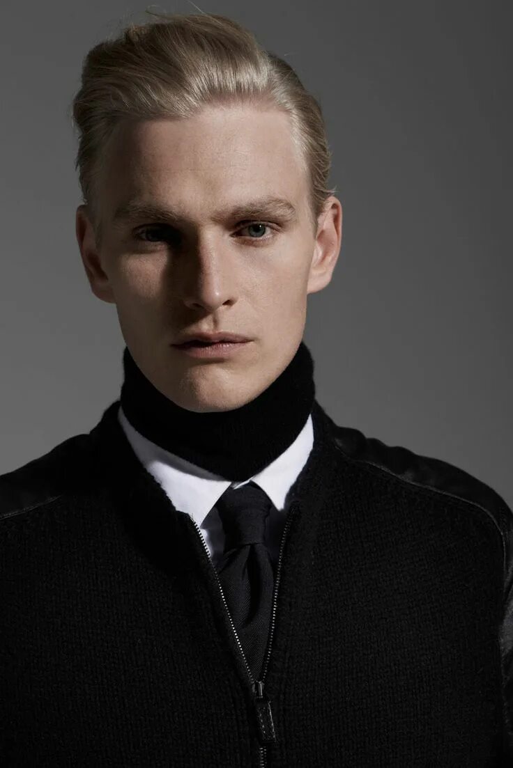 Нордид гослинг. Гальштатский нордид. Нордид. Гальштатский нордид. Нордид раса.