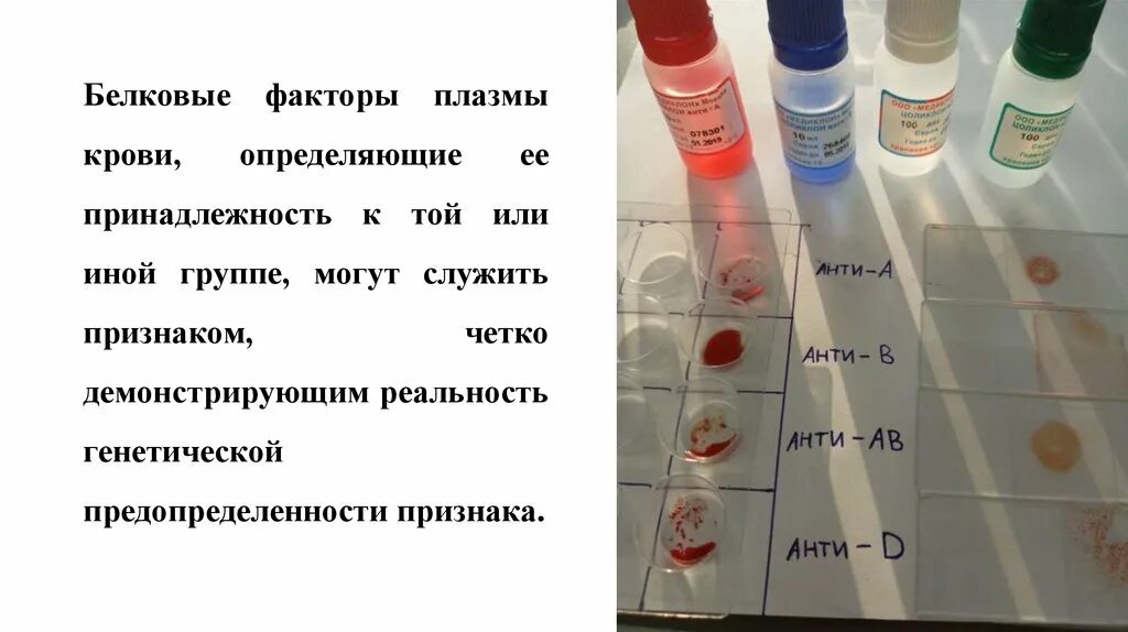 Исследование группы крови. Как можно определить группу крови. Группа крови по анализу крови. Как определить группу крови по цвету.