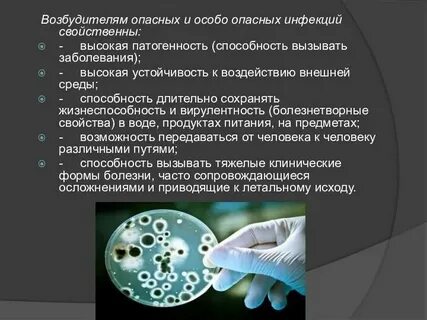 Возбудители парентеральных инфекций