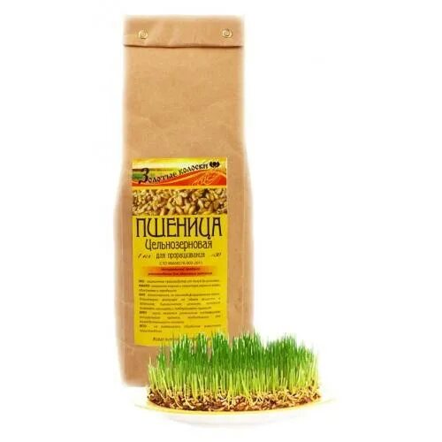 пшеница для варки. колосья пшеницы. куйбышевка сорт пшеницы. озимая пшеница сорт льговская. пшеница для проращивания.