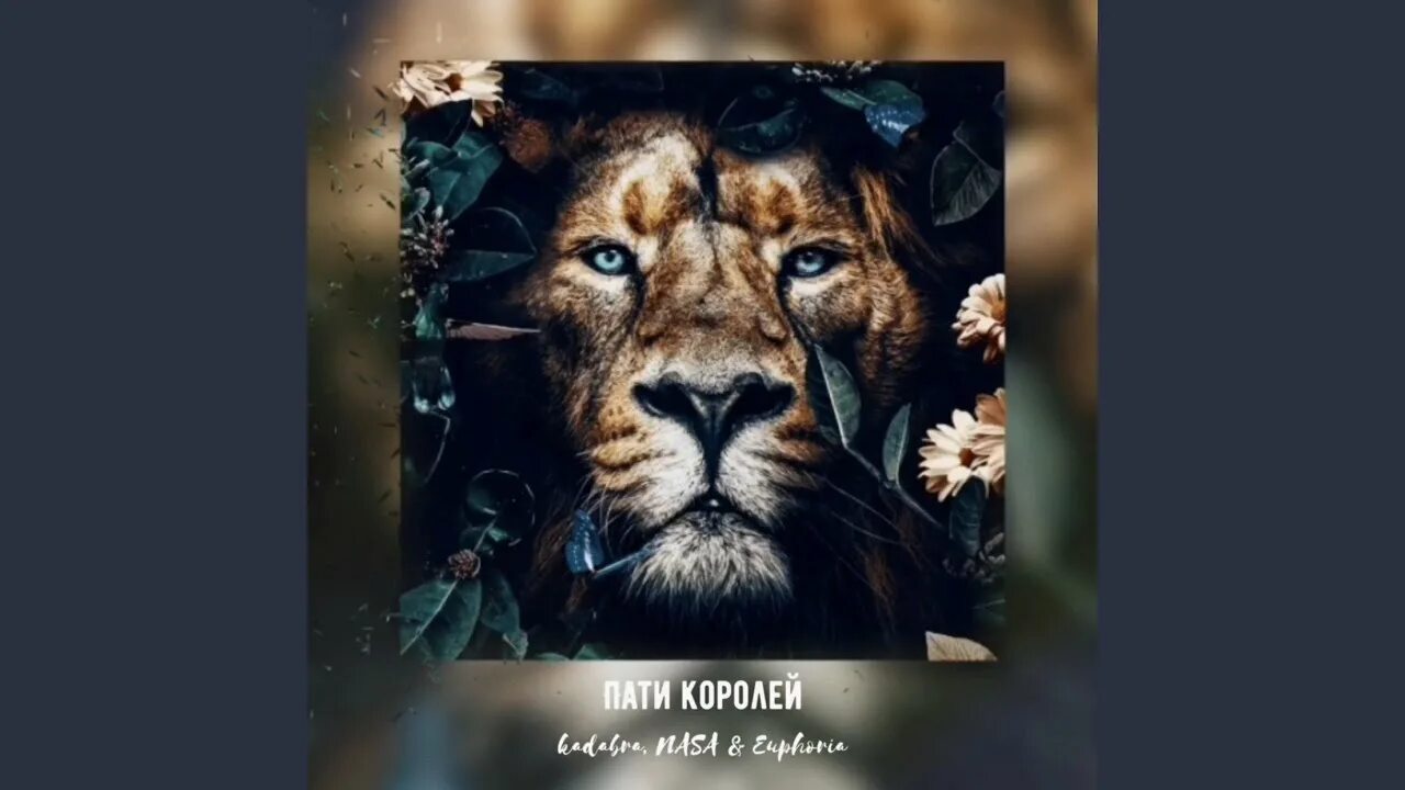 Пати короле. Обои пати королей. Королевская вечеринка. Пати короле. Кинки вечеринка.