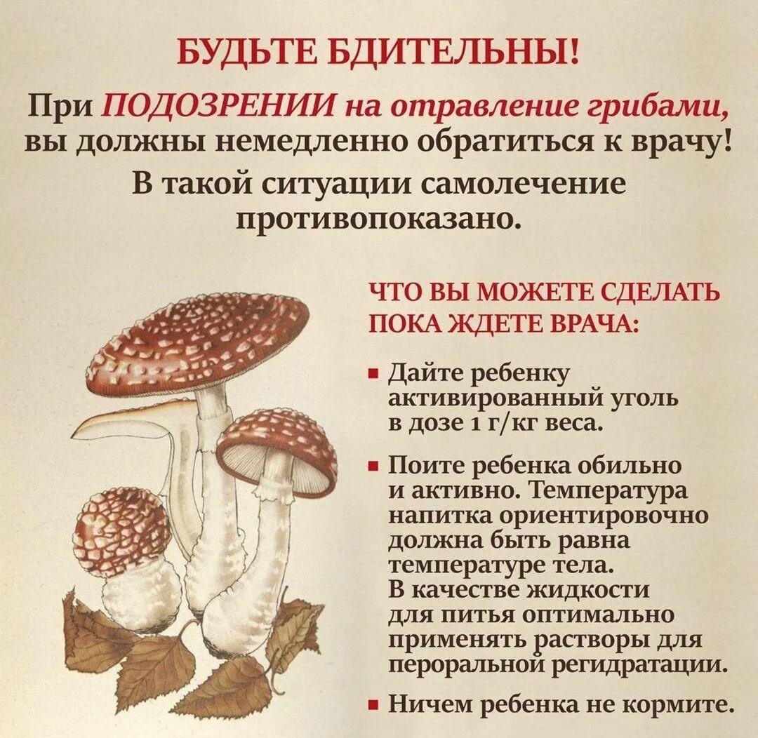 Чем опасно отравление ядовитыми грибами. Клинические признаки отравления грибами. отравление ядовитыми грибами симптомы и первая помощь. отравление ядовитыми грибами. симптомы отравления ядовитыми грибами.