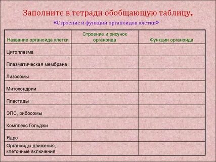Функции органоидов клетки таблица 8 класс биология