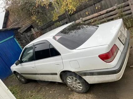 Дром красный чикой