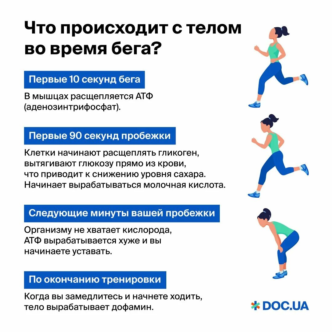 Что нужно сделать после бега. Бег полезен. Влияние бега на организм. Бег это полезно. Польза бега.