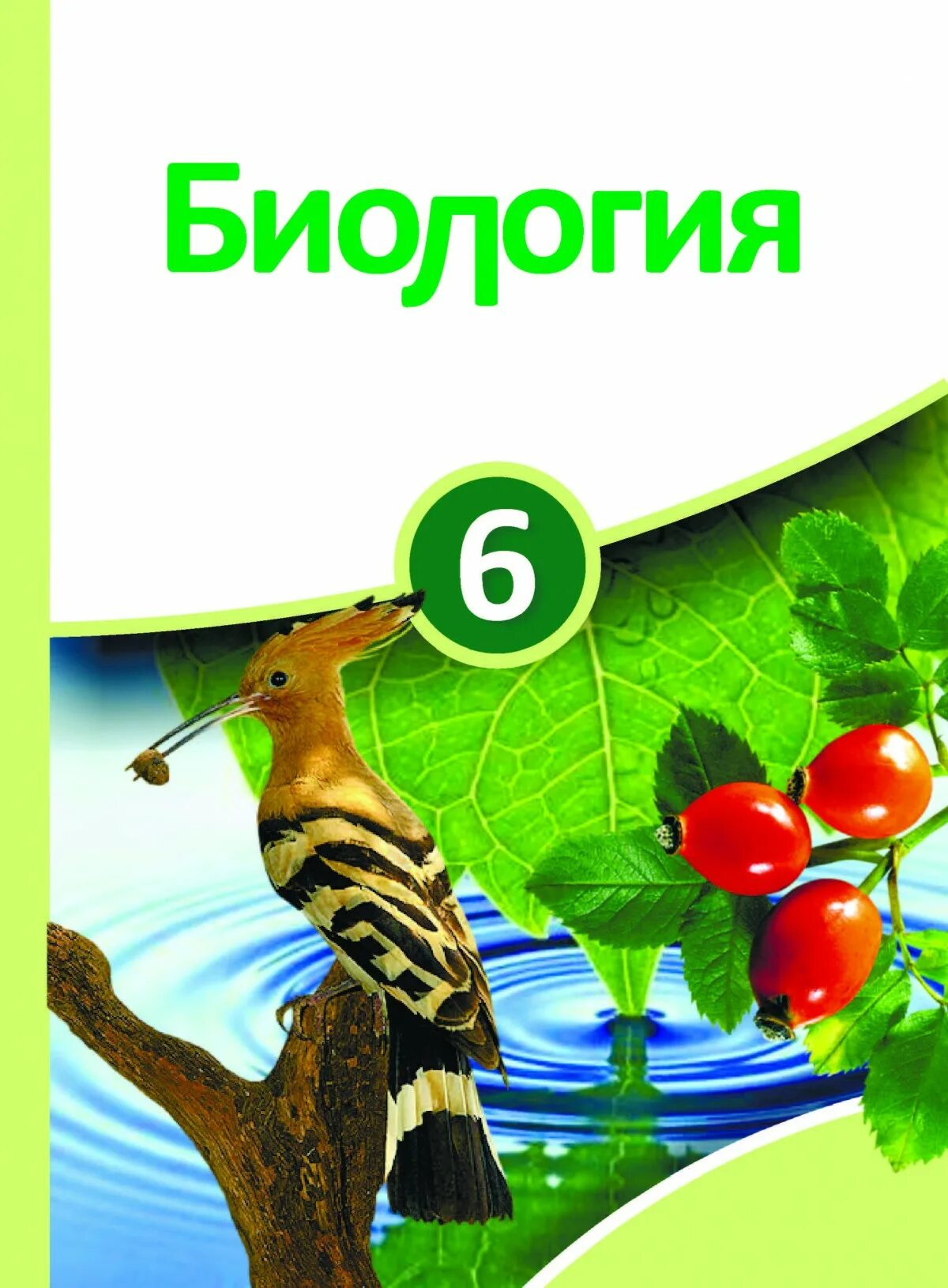 Биология 6 класс лисов. Биология. Биология 6 класс. Биология книга. Учебник по биологии.