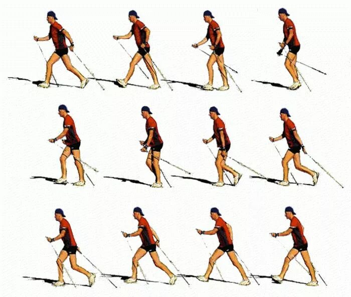 методика скандинавской ходьбы для начинающих. видео правильное ходьба. палки для скандинавской ходьбы. скандинавская ходьба с палками техника ходьбы для начинающих. скандинавские палки для пожилых.