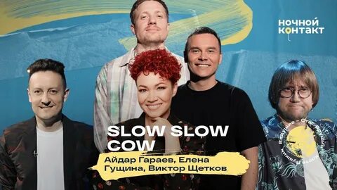 Slow cow
