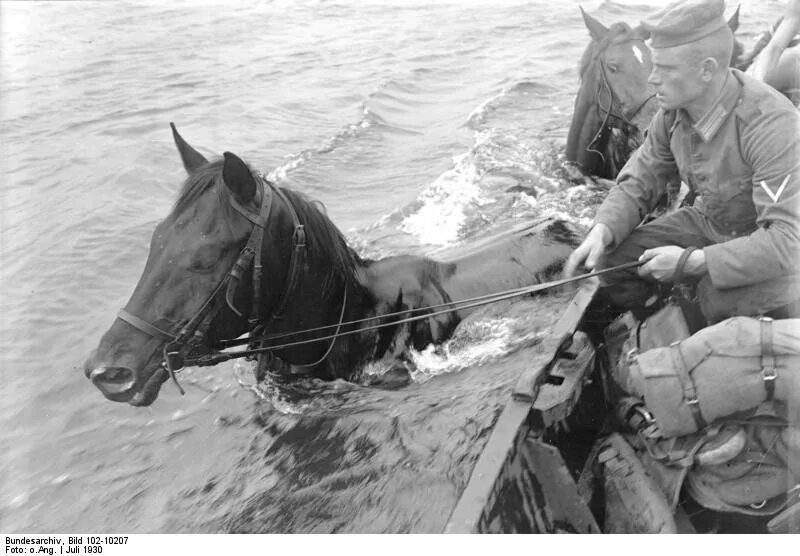 Лошадь переправа. Лошади в годы войны 1941-1945. Лошади на войне. Лошади в Великой Отечественной войне. Кони в Великую отечественную войну.