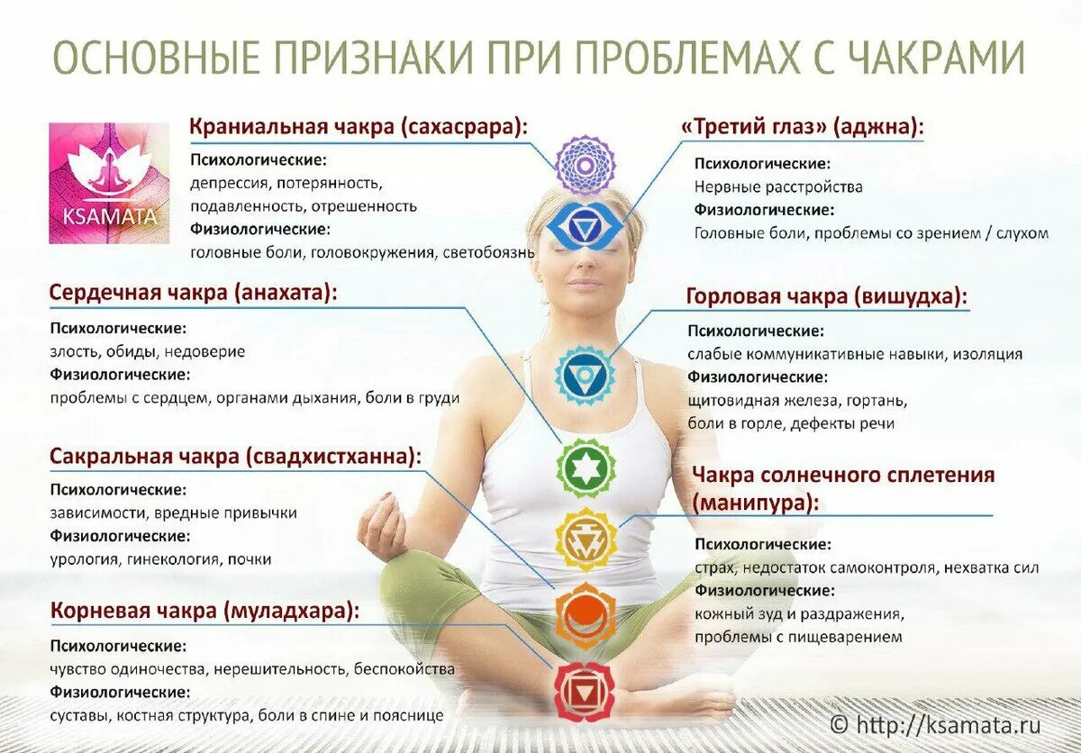 диафрагма относится к дыхательным мышцам. выдох сокращение дыхательных мышц. можно ли почувствовать легкие. можно ли почувствовать легкие. заболевания связанные с кашлем.