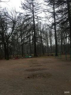 До удельного парка