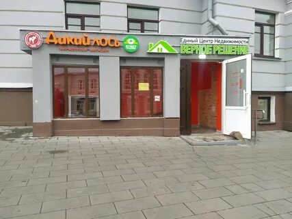 Дикий лось чебоксары