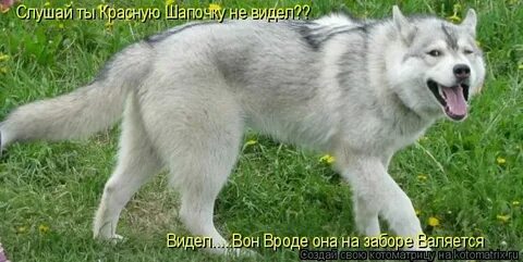 Да вон видишь