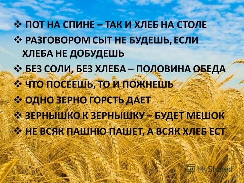 Цитаты про хлеб. Высказывания о хлебе. красивые стихи о хлебе. стихи и пословицы о хлебе. стихи и поговорки про хлеб.