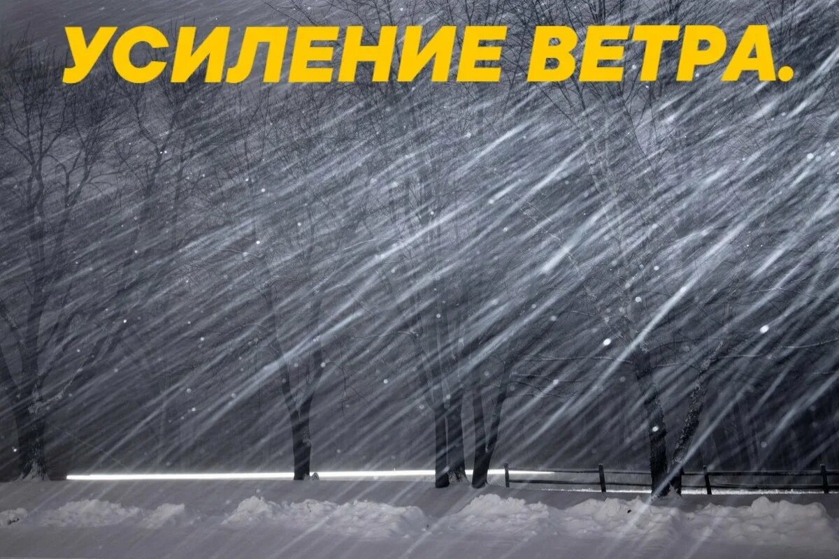 Усиление ветра. Сильнйветер зимой. Внимание метель. Внимание сильный ветер.