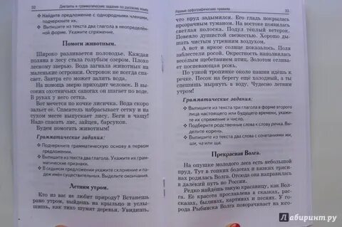 Ночью в лесу диктант 4