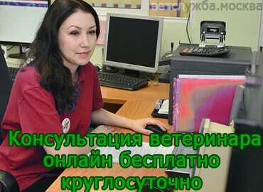 Консультация ветврача по телефону. Консультация ветеринара по телефону. Бесплатная консультация ветеринара.