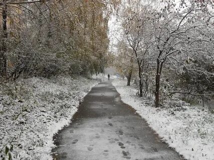 Каждый снег