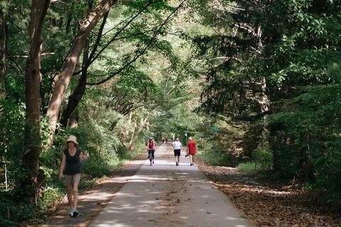 I walking in the park