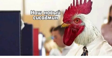 Петух мем