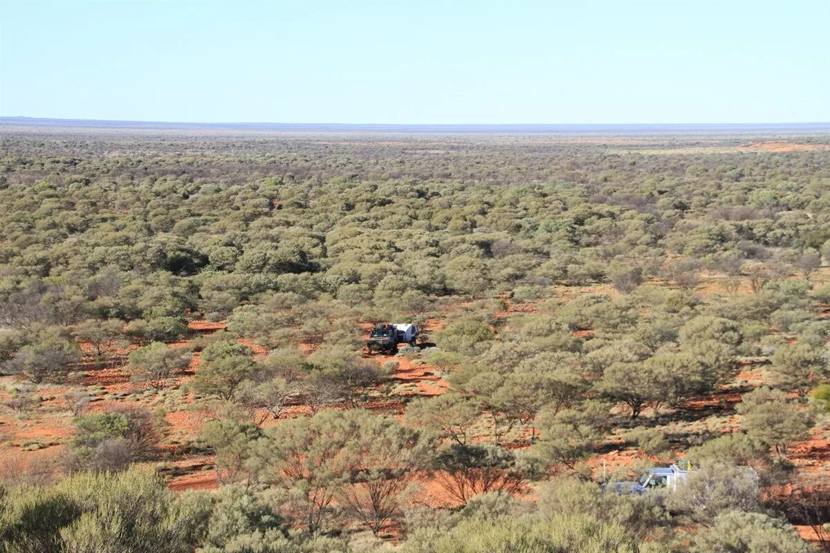 Пустыни Австралии Гибсона. Gibson Desert Австралия. Пустыня Гибсона Западная Австралия. Пустыня Гибсона фото. Пустыня гибсона австралия