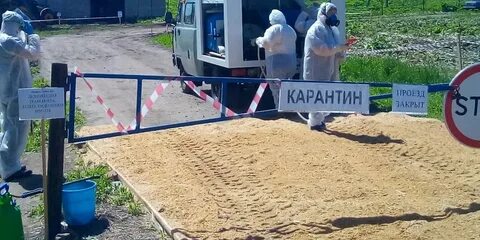 Африканская чума брянская область