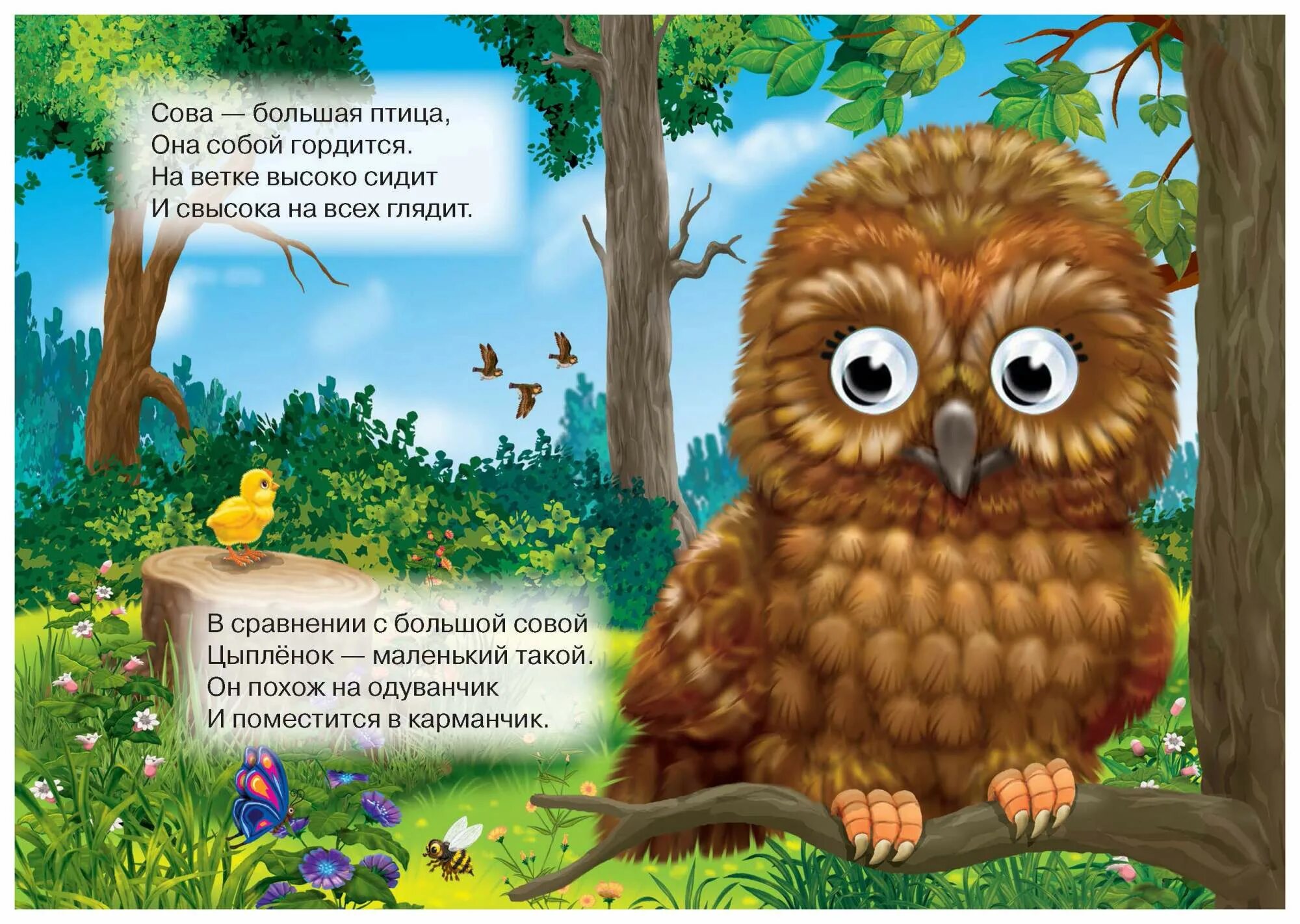 Терраса чиван загадка с совами