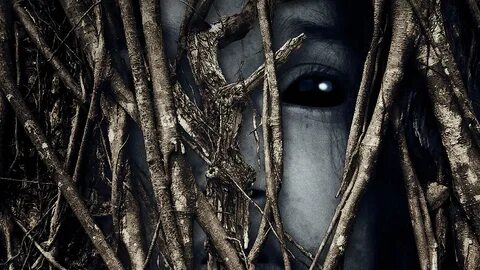 Behind the trees