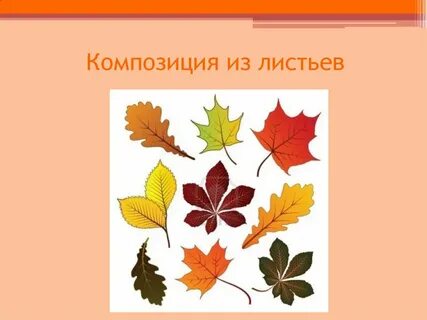 Формы осени