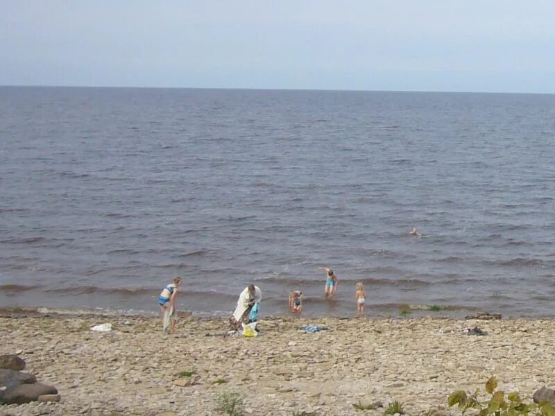 С ильмень озера ребятня. Озеро Ильмень пляжи. Озеро Ильмень купание. Озеро Ильмень в августе. Озеро Ильмень купаться пляж.