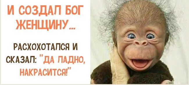 космический христос. я спросил у бога у россии есть дорога улыбнувшись бог сказал. боже храни россию и путина. псалом 135. бог улыбнулся и сказал.