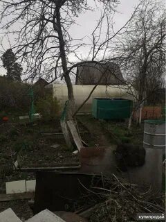 Снт любитель курск