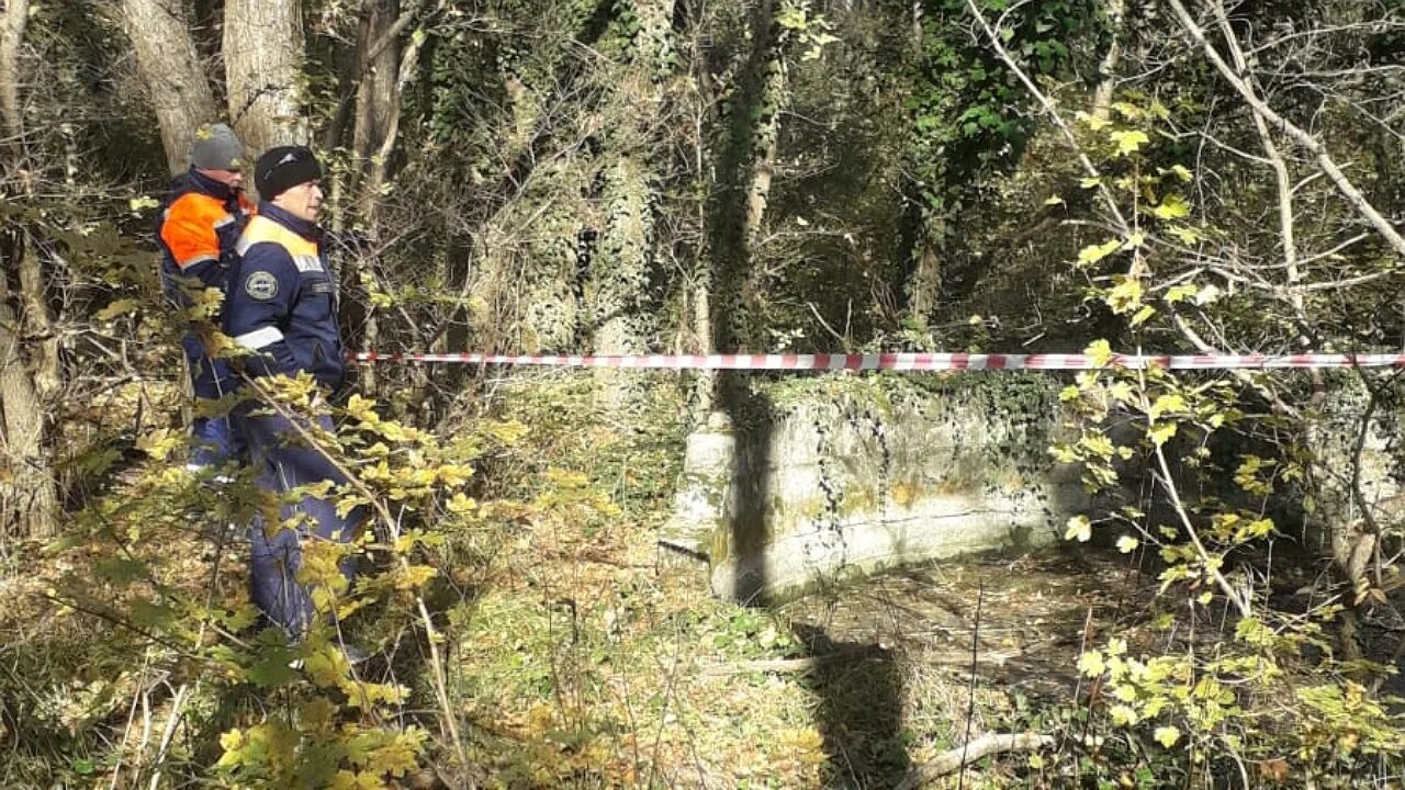 Бег по березовой роще красноярск. История в роще успела разнестись не. Корабельная роща первоуральск. Начальник политотдела дивизии в вов. Заброшенный новороссийск.