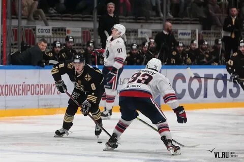 Адмирал прогноз на сегодня