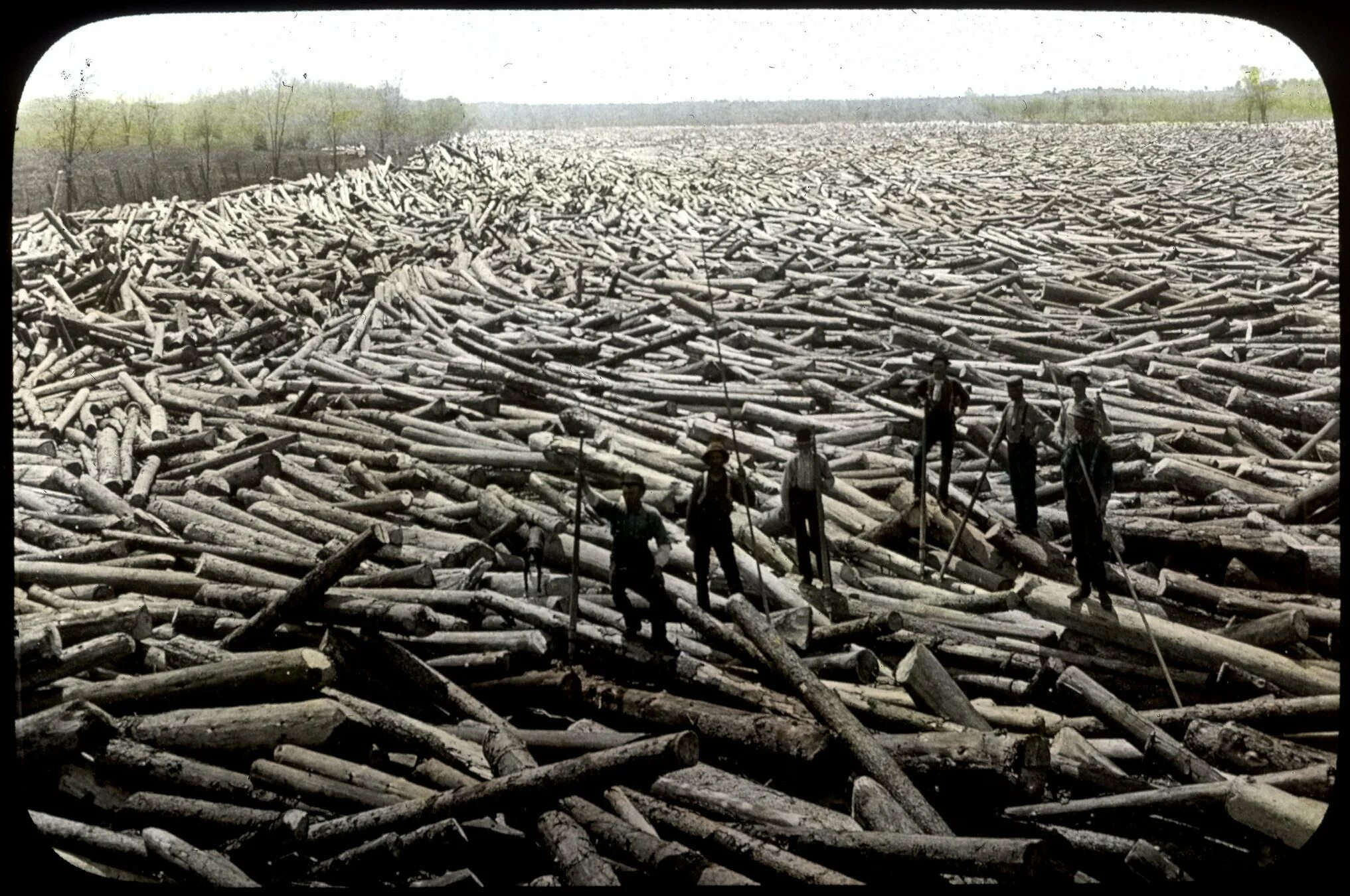 Problems logging