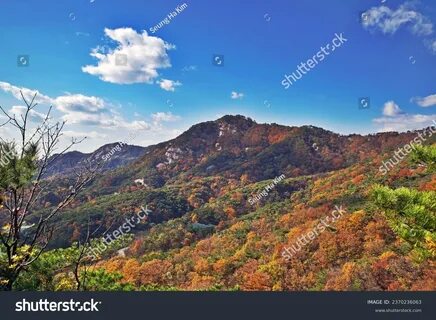 Premium bukak - Best photos on dibujosparaimprimir.net