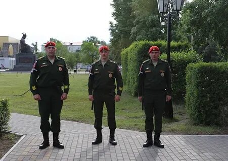 Комендатура белгород
