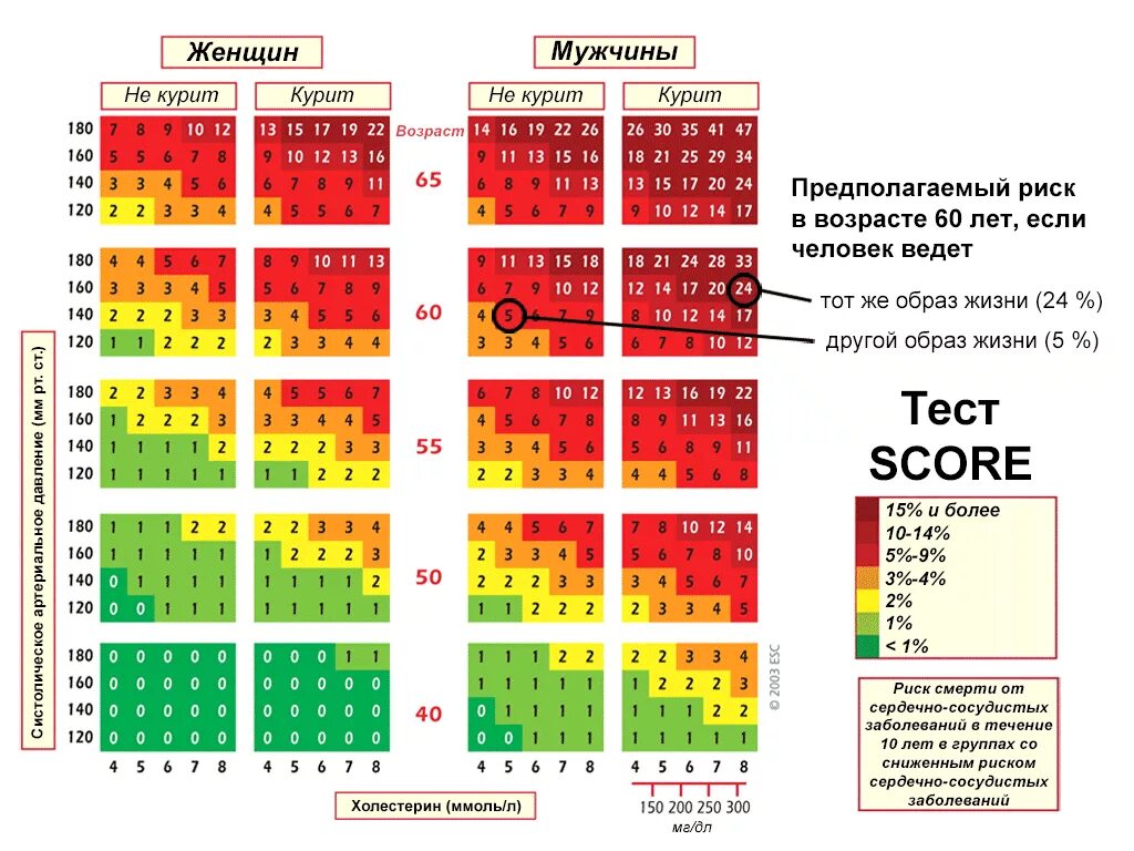 Сердечно сосудистых по шкале score низкий. Шкала score для оценки риска сердечно. Шкала риска сердечно-сосудистых заболеваний таблица score. Суммарный сердечно-сосудистый риск по шкале score. Абсолютный сердечно-сосудистый риск шкала.
