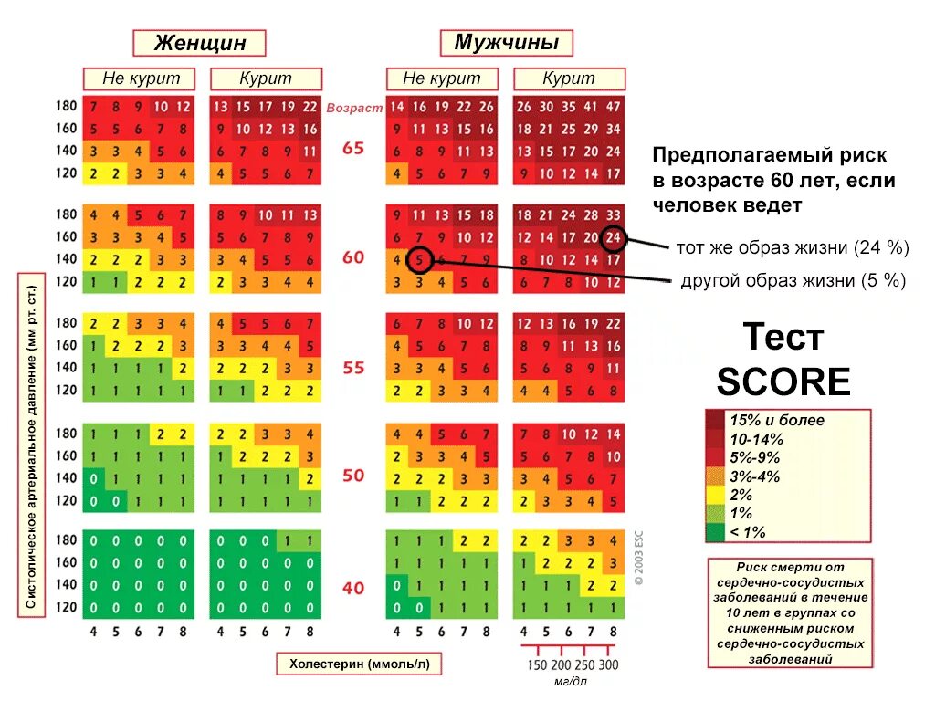 Шкала score для оценки риска сердечно. Шкала риска сердечно-сосудистых заболеваний таблица score. Суммарный сердечно-сосудистый риск по шкале score. Абсолютный сердечно-сосудистый риск шкала. Score2