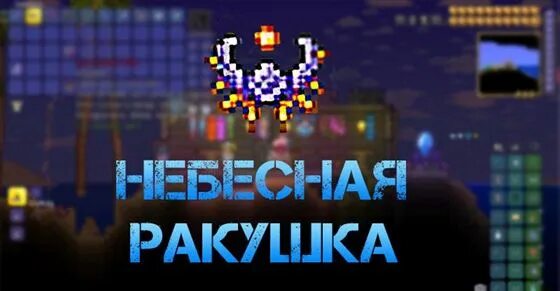 Обои террария. Ракушка фон в террарии. Небесная ракушка террария. Ракушка фон в террарии. Лунная ракушка террария.