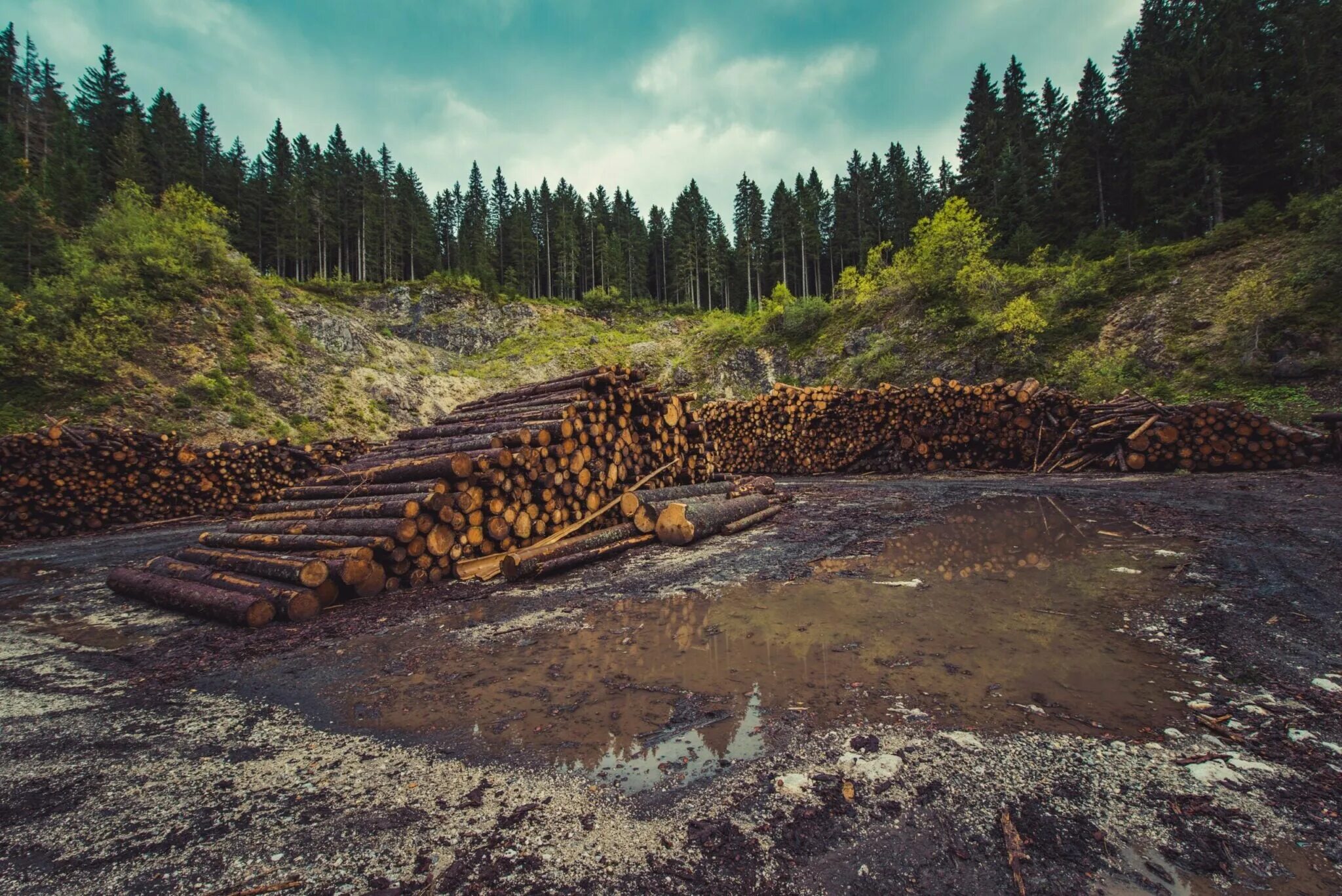 Problems logging