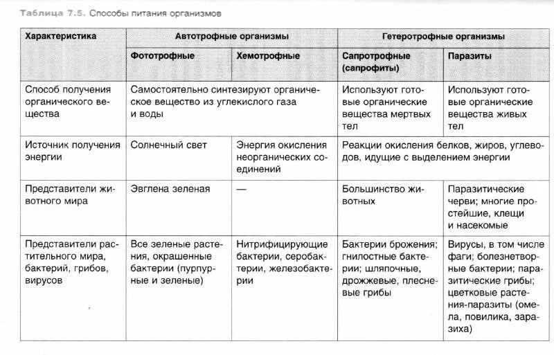Способ питания вирусов