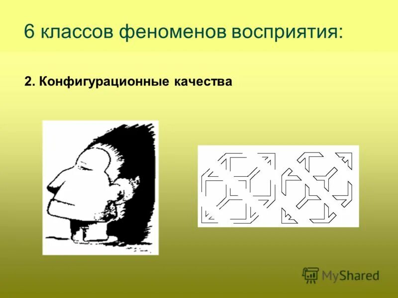 Феномены восприятия. Феномены восприятия в психологии. Восприятие иллюстрация. Шесть классов феноменов восприятия.