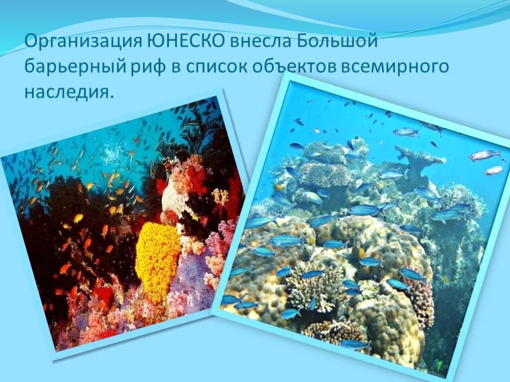 Большой барьерный риф национальный парк. Большой барьерный риф австралия презентация. Большой барьерный риф (северо-восточное побережье австралии). Большой барьерный риф сообщение. Большой барьерный риф национальный парк.