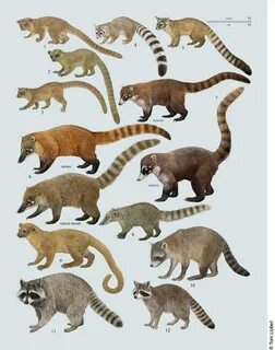 But mammals