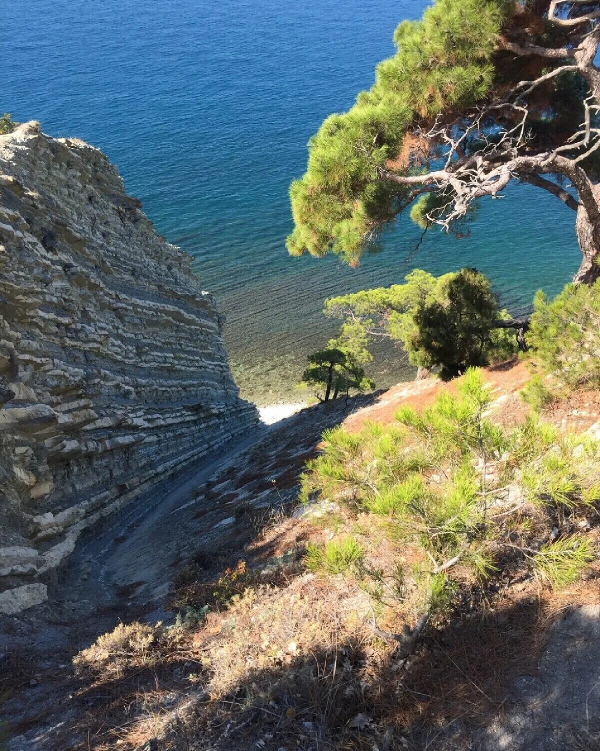 Гостевой дом виктория геленджик голубая бухта. Голубая бухта маяк. Голубая бухта в геленджике. Гд виктория геленджик. Пляж голубая бухта геленджик.